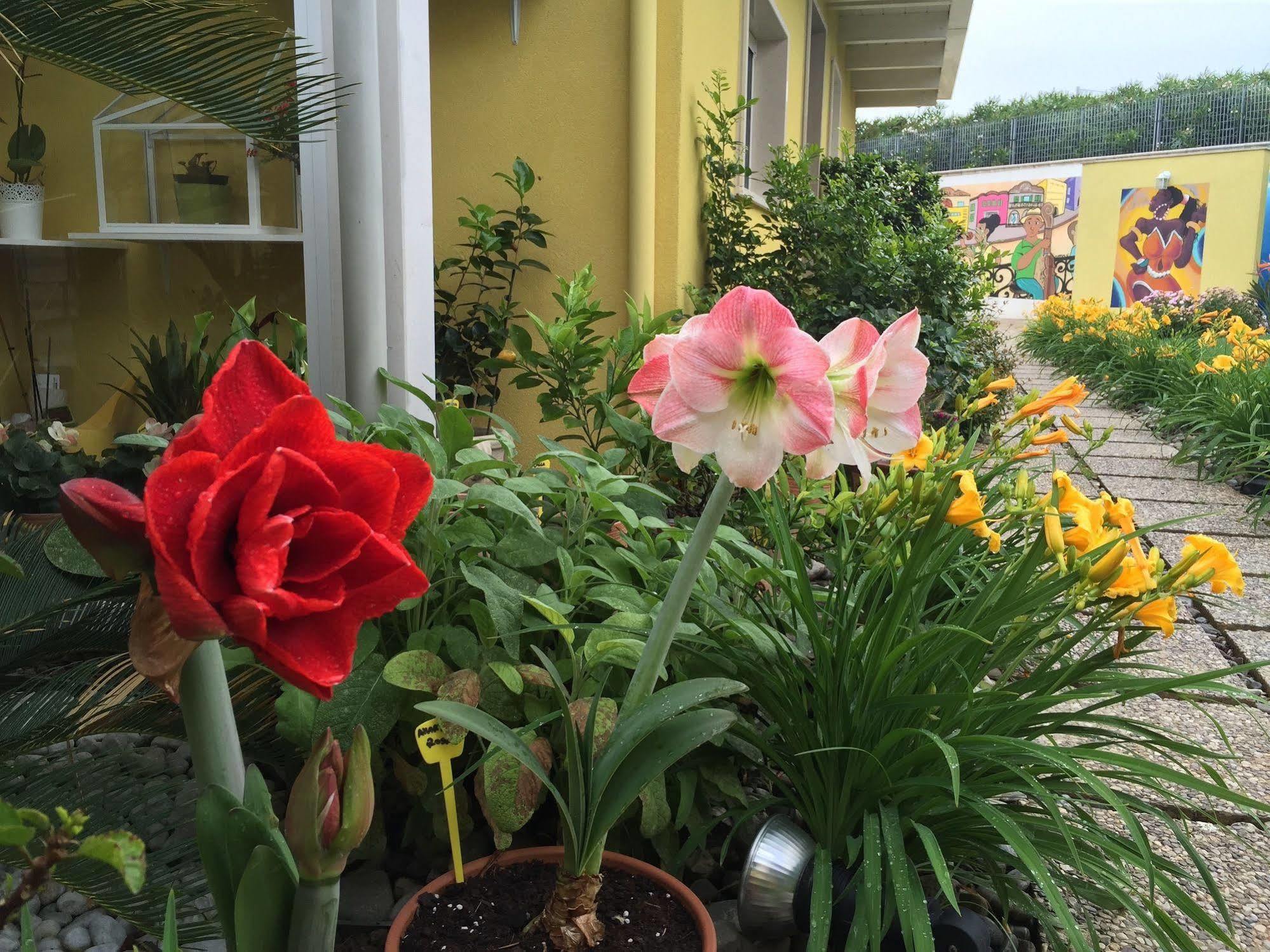La Casa (Adults Only) Bed & Breakfast Bari Eksteriør bilde